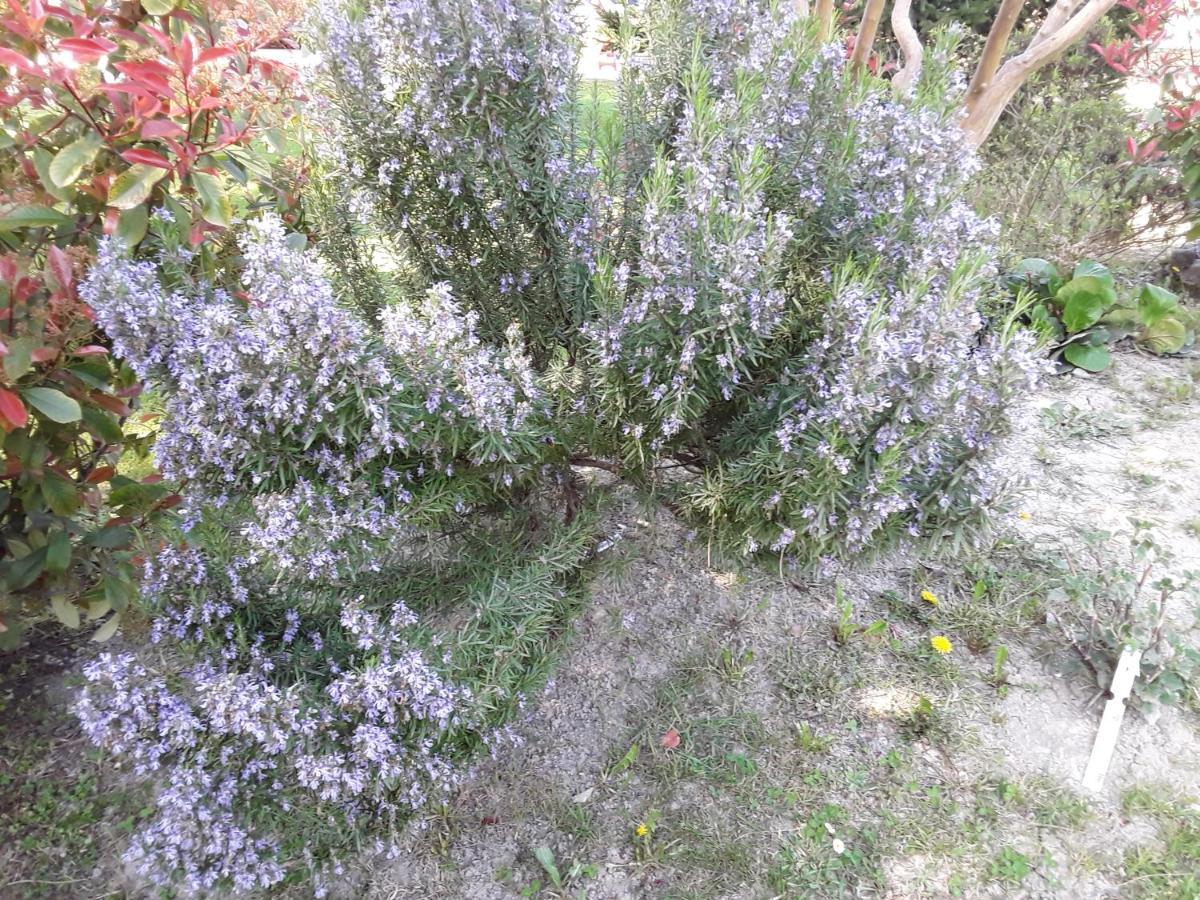 فيلا La Bonbonne En Provence Travaillan المظهر الخارجي الصورة