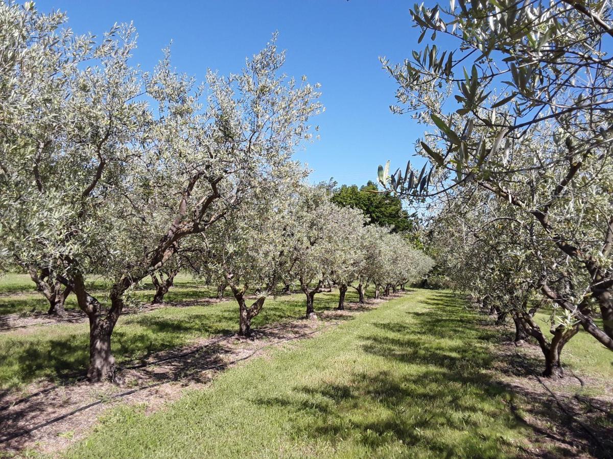 فيلا La Bonbonne En Provence Travaillan المظهر الخارجي الصورة