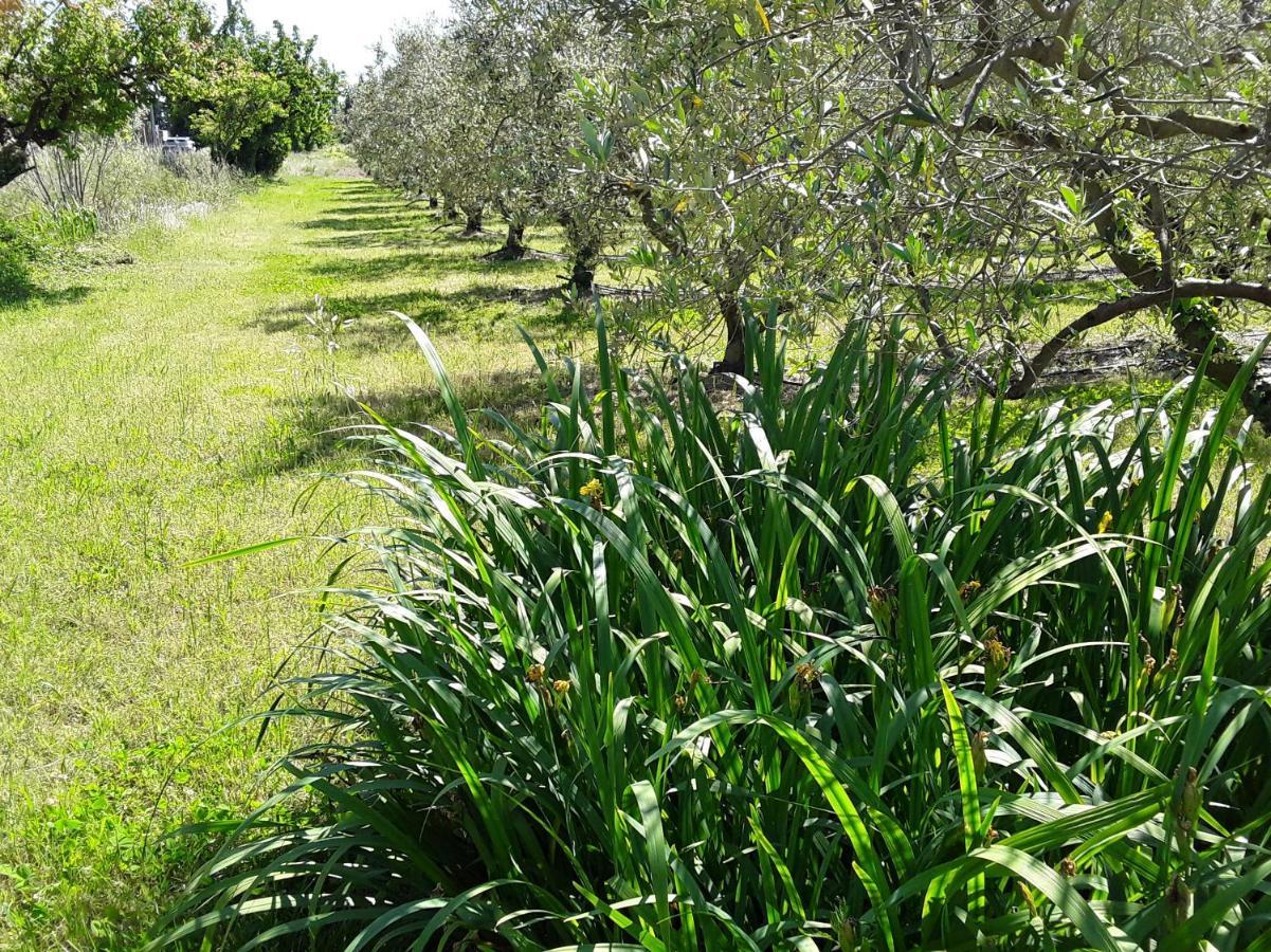 فيلا La Bonbonne En Provence Travaillan المظهر الخارجي الصورة