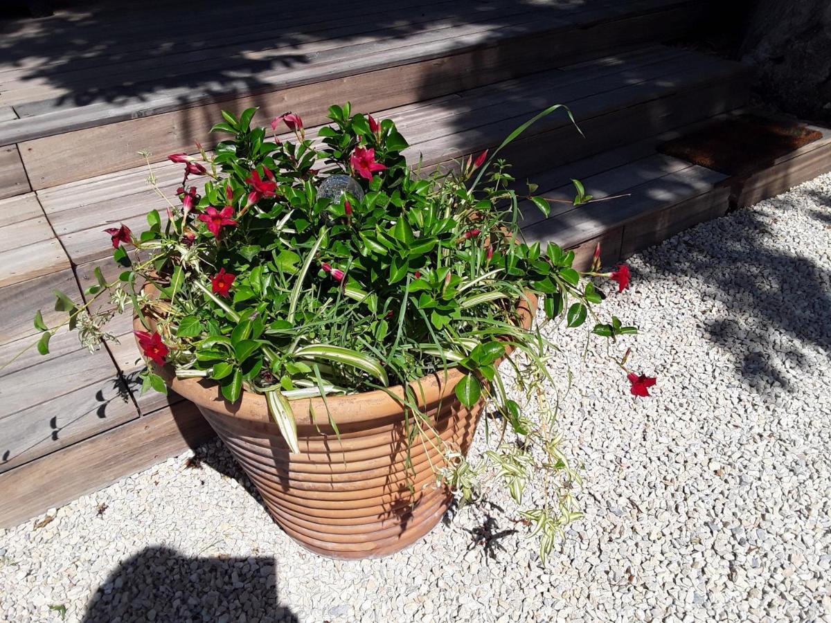 فيلا La Bonbonne En Provence Travaillan المظهر الخارجي الصورة